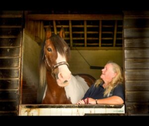 Caroline Carroll & Jigsaw