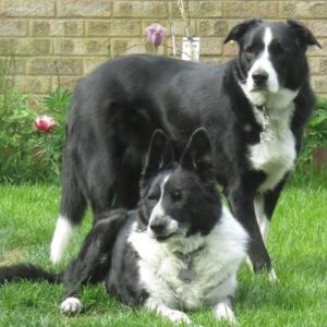 Andrea Newlyn-Jones and Mylo & Quyn
