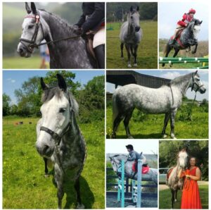Lucy Wareham & Berry
