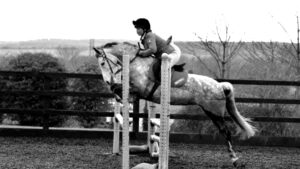 Lucy Wareham & Berry