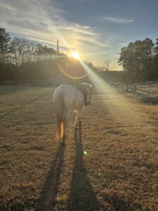 Kamillah Yassin & Frosty
