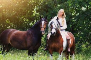 Emilie Organ and Millie & Willow