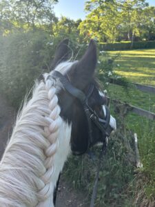 Ashleigh Keeling & Romany (Photo 1)