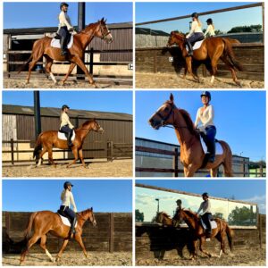 Caitlin O'Brien & Barney