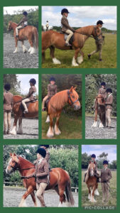 Rupert Reeve & Beau