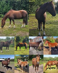 Victoria Shelley & Olly