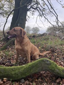 Kelly Latham-Pearmain & Willow