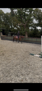 Siana Spiers & Bronte