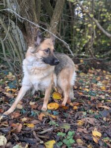 Jessica Hamilton & Meeka