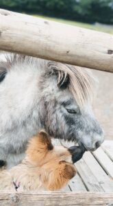 Jessica Hamilton & Naya