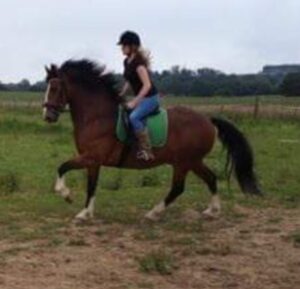 Jessica Hamilton & Banks