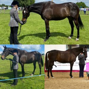 Rhiannon Maclening & The Alchemist