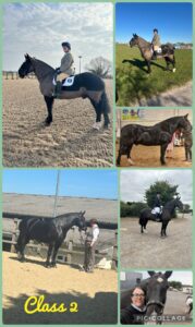 Alice Calcott & Elvis