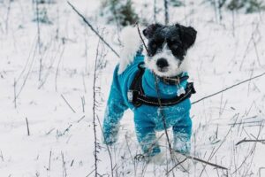 Michelle Powell & Ted
