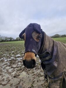 Laurel Carr & Adonis