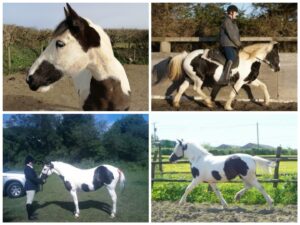 Sera Henbest & Carrie