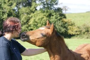 Sera Henbest & C. F. Chiquita