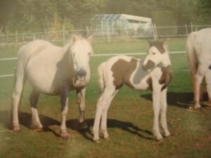 Sera Henbest & Carrie