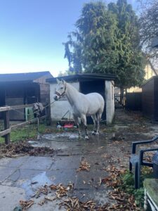 Grace Carlin & Eamonn