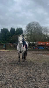 Grace Carlin & Bobby